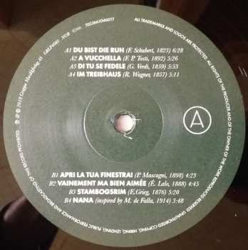 LP Kornstad Trio: Im Treibhaus