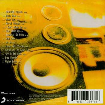 CD KRS-One: Return Of The Boom Bap