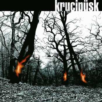 Album Krucipüsk: Druide!