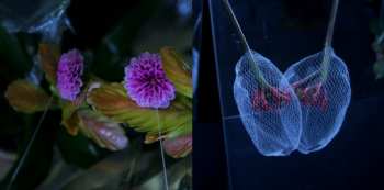 2LP Kuedo: Slow Knife