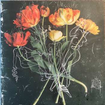 LP La Bronze: Vis-Moi