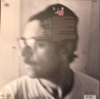 LP L.A.: Evergreen Oak 