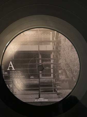 LP L.A.: Evergreen Oak 