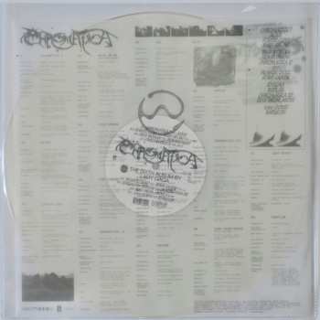 LP Lady Gaga: Chromatica CLR