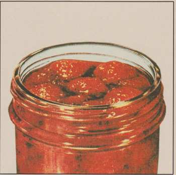 CD Lady Lamb The Beekeeper: After