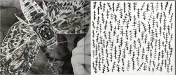 CD Ladyhawke: Anxiety DIGI