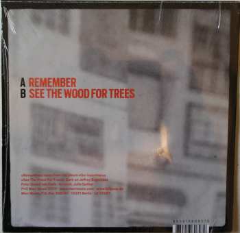 SP Lali Puna: Remember