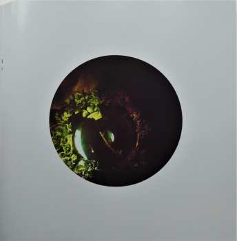 LP Laniakea: A Pot Of Powdered Nettles LTD | CLR