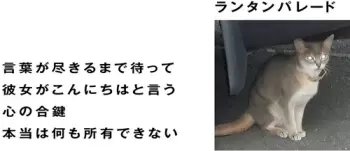 Kotoba Ga Tsukiru Made Matte