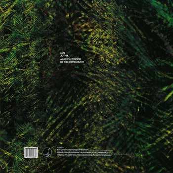 LP Laps: Joyful Process