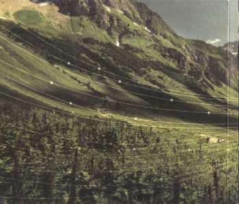 CD Laroca: Valley Of The Bears