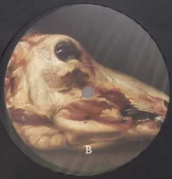 LP Lascar: Wildlife LTD