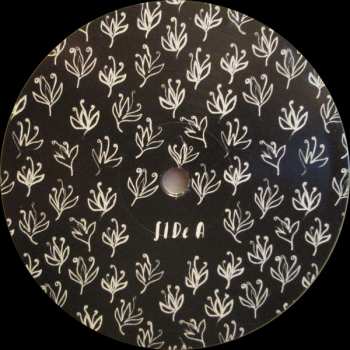 2LP Laura Veirs: The Lookout LTD | CLR