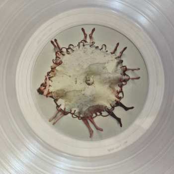 LP Lauren Auder: The Infinite Spine CLR