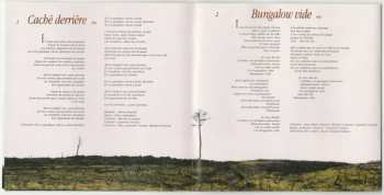 CD Laurent Voulzy: Caché Derrière