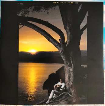 2LP Laurent Voulzy: La Septième Vague