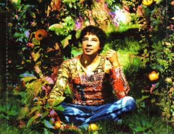 2CD Laurent Voulzy: Saisons