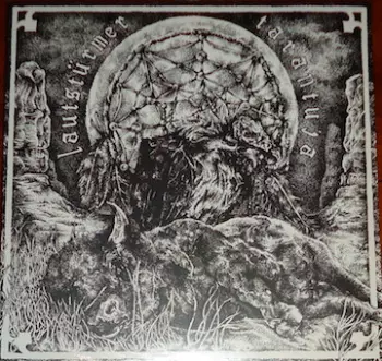 Lautstürmer: Split LP