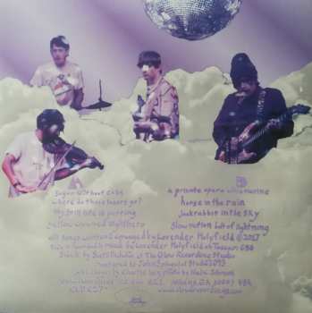 LP Lavender Holyfield: Rabbitboxing Midnightmouth