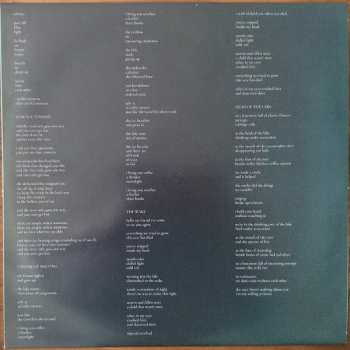 LP Leanne Betasamosake Simpson: Theory Of Ice LTD