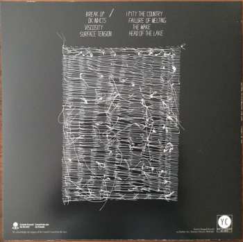 LP Leanne Betasamosake Simpson: Theory Of Ice LTD