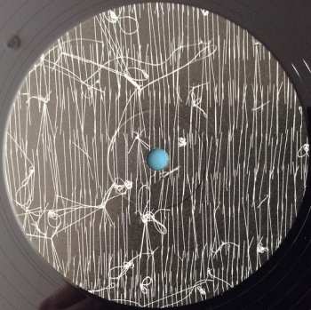 LP Leanne Betasamosake Simpson: Theory Of Ice LTD