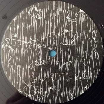 LP Leanne Betasamosake Simpson: Theory Of Ice LTD