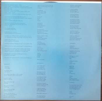 LP Leanne Betasamosake Simpson: Theory Of Ice LTD