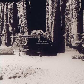 CD Leifur James: Angel In Disguise