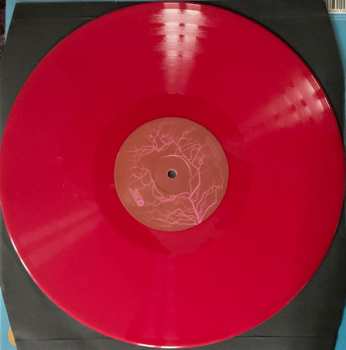 LP Leifur James: Magic Seeds LTD | NUM | CLR