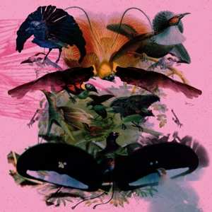 2LP Leon Vynehall: Rojus (Designed To Dance)