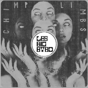 Les Big Byrd: Remixes, Rarieties & Unreleased