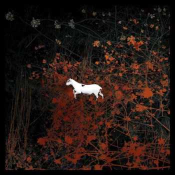 2LP/2CD/DVD/Caja Les Discrets: Prédateurs LTD | CLR