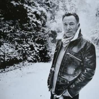 2LP Bruce Springsteen: Letter To You LTD