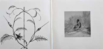 2LP Lhasa De Sela: The Living Road