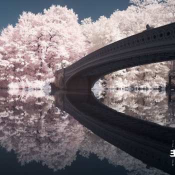 Album Liam Noble: The Long Game 