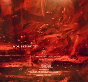 LP Lice: Woe Betide You LTD | CLR