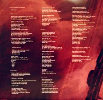 LP Lice: Woe Betide You LTD | CLR