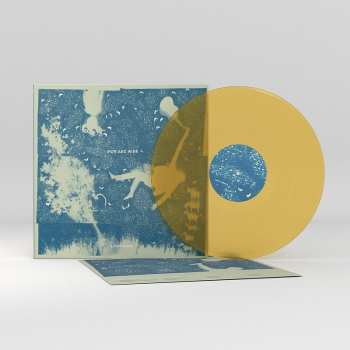 LP Iron And Wine: Light Verse