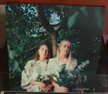 Lily Arbor: Lily Arbor