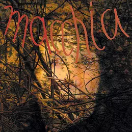 Limpe Fuchs: Macchia Forest