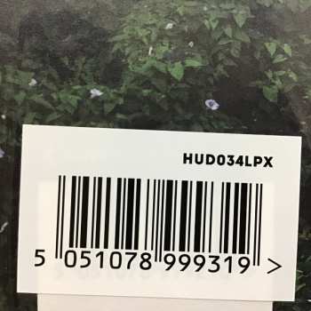 LP Liz Hanks: Land CLR | LTD
