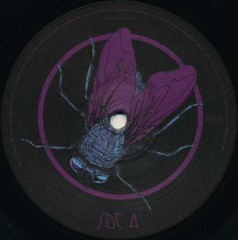 LP Lonely Kamel: Shit City LTD