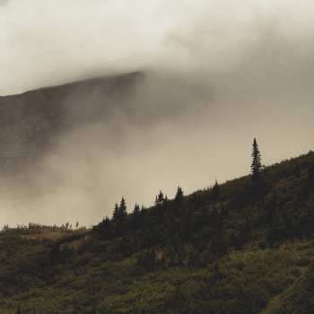 LP Lord Buffalo: Tohu Wa Bohu