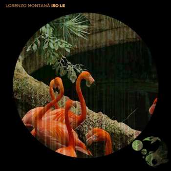 Album Lorenzo Montanà: Iso Le
