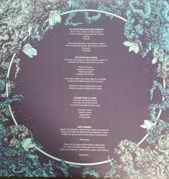 LP Los Mundos: Las Montañas CLR | LTD