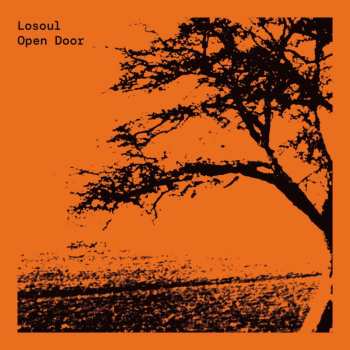 2LP LoSoul: Open Door
