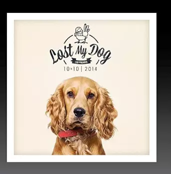 Lost My Dog 10x10: 2014 / Var: Lost My Dog 10x10: 2014