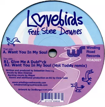 Stee Downes: Want You In My Soul