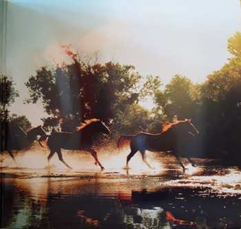 2LP Lucinda Williams: West
